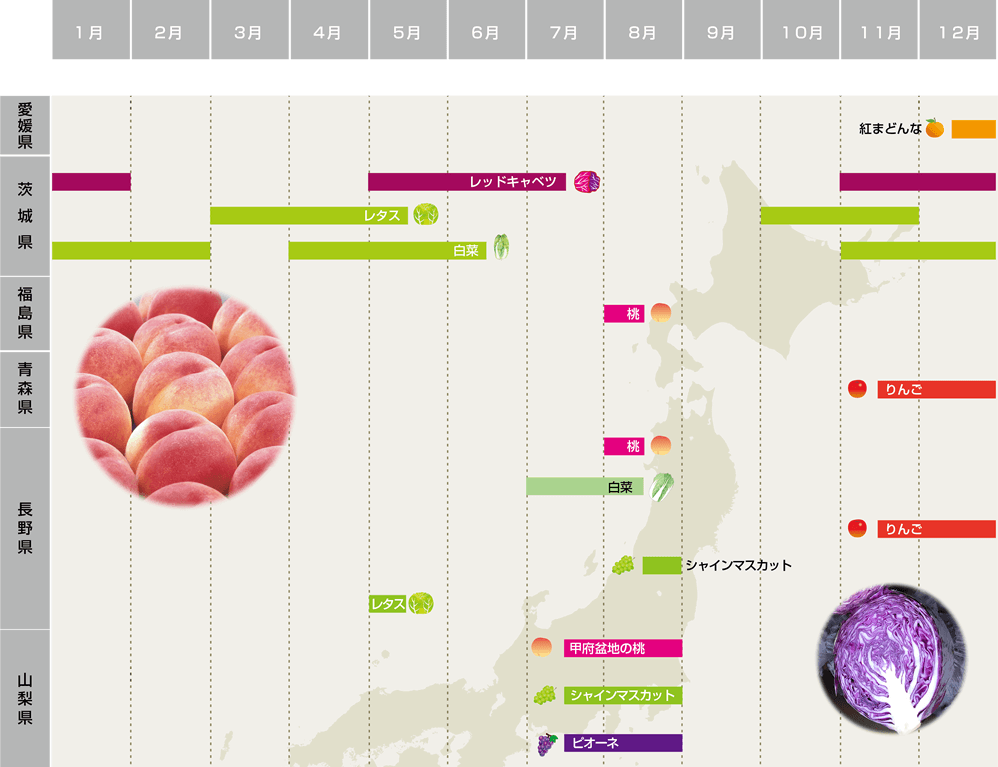 japan map